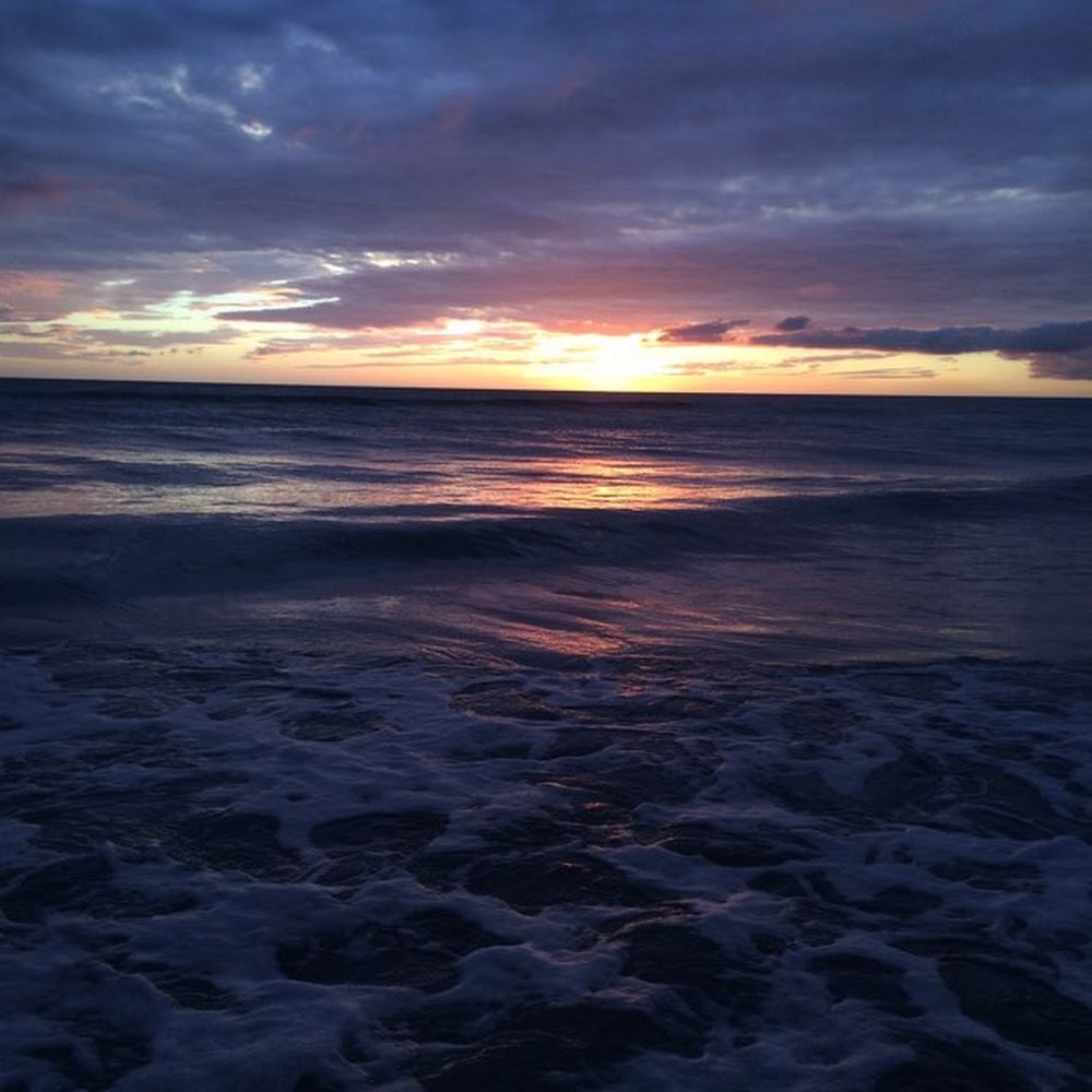 Meet your Posher, Al